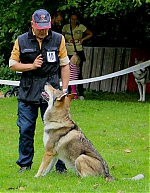 03.jpg