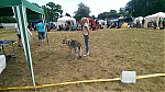 10423807_10203380566587362_57809107386710308_n.jpg
