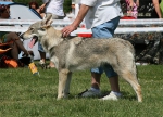 Název souboru=181_03.jpg
Velikost souboru=149KB
Rozměry=800x580
Datum přidání=22. Červenec 2011 181_03.jpg