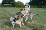20111021_9999_67.jpg