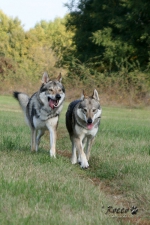20111021_9999_83.jpg
