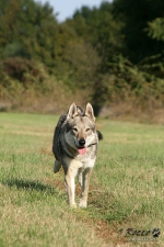 20111021_9999_90.jpg