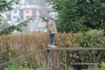 2011_rijen_30__043.jpg