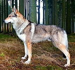 20161111_164357.jpg