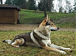 20161215_163735.jpg
