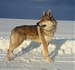 20170115_181420.jpg