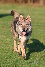 2017_duben_02__095.JPG