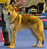 Název souboru=67902_467623206619790_480669240_n.jpg
Velikost souboru=106KB
Rozměry=914x960
Datum přidání=19. Duben 2013 67902_467623206619790_480669240_n.jpg