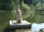 Název souboru=CA1.JPG
Velikost souboru=704KB
Rozměry=2048x1536
Datum přidání=23. Červenec 2011 CA1.JPG