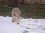 Název souboru=Carmin_001.jpg
Velikost souboru=337KB
Rozměry=2048x1536
Datum přidání=23. Červenec 2011 Carmin_001.jpg