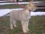 Název souboru=Carmin_010.jpg
Velikost souboru=375KB
Rozměry=2048x1536
Datum přidání=23. Červenec 2011 Carmin_010.jpg