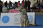 Název souboru=DSC_2476.jpg
Velikost souboru=99KB
Rozměry=1200x795
Datum přidání=17. Září 2013 DSC_2476.jpg