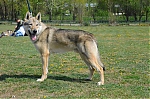 DSC_4527.jpg