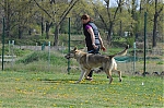 DSC_4561.jpg