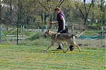 DSC_4562.jpg