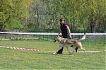 DSC_4569.jpg
