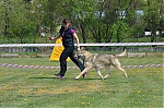 DSC_4573.jpg