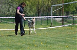 DSC_4581.jpg
