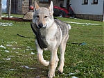 Název souboru=Gero_Kuklik_32C5months_076.jpg
Velikost souboru=161KB
Rozměry=640x480
Datum přidání=23. Listopad 2012 Gero_Kuklik_32C5months_076.jpg