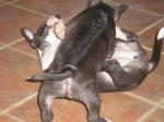 MINICI_VRH_C_8TUDNU_009.jpg