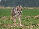 P1130552.JPG