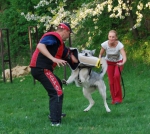 Název souboru=a10.jpg
Velikost souboru=111KB
Rozměry=800x715
Datum přidání=21. Červenec 2011 a10.jpg