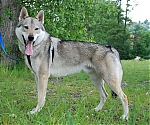 Název souboru=alien5.jpg
Velikost souboru=155KB
Rozměry=800x668
Datum přidání=30. Červenec 2012 alien5.jpg