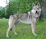 Název souboru=alien6.jpg
Velikost souboru=158KB
Rozměry=800x668
Datum přidání=30. Červenec 2012 alien6.jpg