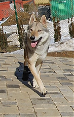 Název souboru=alien7.jpg
Velikost souboru=106KB
Rozměry=504x800
Datum přidání=30. Červenec 2012 alien7.jpg