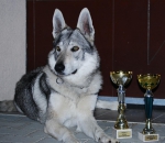 Název souboru=amy_big3.JPG
Velikost souboru=118KB
Rozměry=1024x890
Datum přidání=21. Červenec 2011 amy_big3.JPG