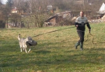 Název souboru=amy_obrany3.jpg
Velikost souboru=101KB
Rozměry=800x546
Datum přidání=21. Červenec 2011 amy_obrany3.jpg