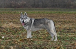 Název souboru=amynka1.JPG
Velikost souboru=173KB
Rozměry=1024x672
Datum přidání=21. Červenec 2011 amynka1.JPG