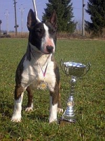 Název souboru=apache.jpg
Velikost souboru=20KB
Rozměry=200x267
Datum přidání=21. Červenec 2011 apache.jpg
