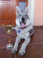 Název souboru=aprilia_nr3.jpg
Velikost souboru=48KB
Rozměry=449x600
Datum přidání=23. Červenec 2011 aprilia_nr3.jpg