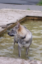 Název souboru=ares_015.jpg
Velikost souboru=331KB
Rozměry=1365x2048
Datum přidání=21. Červenec 2011 ares_015.jpg