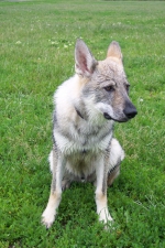 Název souboru=ares_017.jpg
Velikost souboru=488KB
Rozměry=1365x2048
Datum přidání=21. Červenec 2011 ares_017.jpg