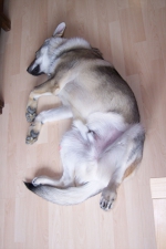 Název souboru=ares_025.jpg
Velikost souboru=221KB
Rozměry=1365x2048
Datum přidání=21. Červenec 2011 ares_025.jpg