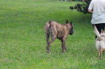 Název souboru=ares_028.jpg
Velikost souboru=395KB
Rozměry=2048x1365
Datum přidání=21. Červenec 2011 ares_028.jpg