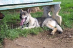 Název souboru=ares_047.jpg
Velikost souboru=614KB
Rozměry=2048x1365
Datum přidání=21. Červenec 2011 ares_047.jpg