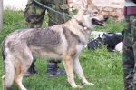 Název souboru=ares_073.jpg
Velikost souboru=366KB
Rozměry=2048x1365
Datum přidání=24. Červenec 2011 ares_073.jpg
