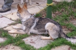 Název souboru=ares_075.jpg
Velikost souboru=523KB
Rozměry=2048x1365
Datum přidání=24. Červenec 2011 ares_075.jpg