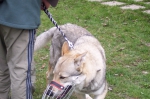 Název souboru=ares_077.jpg
Velikost souboru=443KB
Rozměry=2048x1365
Datum přidání=24. Červenec 2011 ares_077.jpg