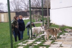 Název souboru=ares_078.jpg
Velikost souboru=444KB
Rozměry=2048x1365
Datum přidání=24. Červenec 2011 ares_078.jpg