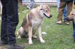 ares_084.jpg