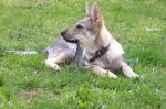 Název souboru=ares_087.jpg
Velikost souboru=517KB
Rozměry=2048x1365
Datum přidání=23. Červenec 2011 ares_087.jpg