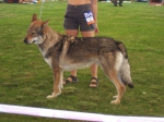 Název souboru=ares_094.jpg
Velikost souboru=428KB
Rozměry=2048x1533
Datum přidání=24. Červenec 2011 ares_094.jpg