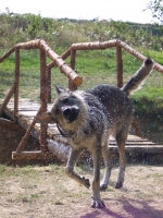 Název souboru=ares_106.jpg
Velikost souboru=582KB
Rozměry=1533x2048
Datum přidání=23. Červenec 2011 ares_106.jpg