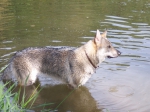 Název souboru=ares_109.jpg
Velikost souboru=387KB
Rozměry=2048x1533
Datum přidání=23. Červenec 2011 ares_109.jpg