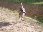 Název souboru=ares_112.jpg
Velikost souboru=635KB
Rozměry=2048x1533
Datum přidání=23. Červenec 2011 ares_112.jpg