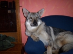 Název souboru=ares_143.jpg
Velikost souboru=329KB
Rozměry=2048x1533
Datum přidání=23. Červenec 2011 ares_143.jpg